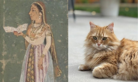 মুঘল রাজকুমারী জেবুন্নেসা থেকে তারেক রহমানের বিড়ালের নামকরণ ‘জেবু’