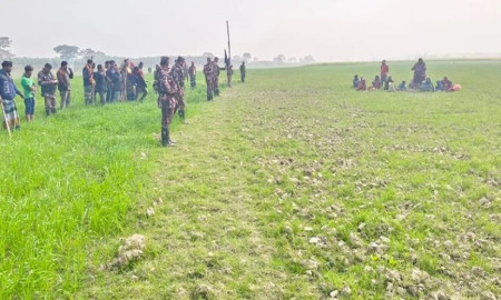 সীমান্তে ১৪ জনকে পুশইনের চেষ্টা, বিজিবির বাধায় ফেরত