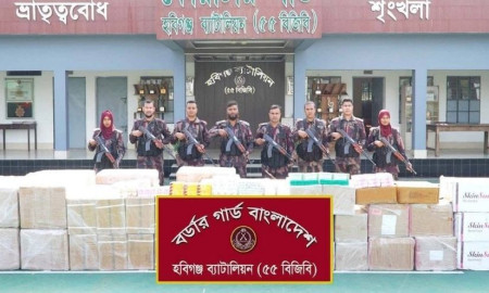 সীমান্তে কোটি টাকার ভারতীয় প্রসাধনী, অবৈধ ওষুধ ও অস্ত্র উদ্ধার