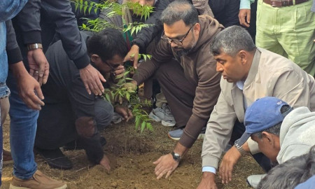 তারেক রহমানের সংবর্ধনাস্থলে গাছ নষ্ট, নতুন চারা রোপন বিএনপির