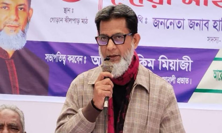 ভোটাধিকার নিশ্চিত হলেই রাষ্ট্রের মালিক হবে জনগণ: হাবিব