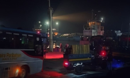 ঘন কুয়াশার কারণে দৌলতদিয়া-পাটুরিয়া নৌরুটে ফেরি চলাচল বন্ধ