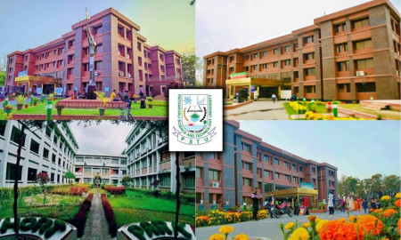 শিক্ষকদের গ্রুপিং ও রাজনীতির লেজুড়বৃত্তিতে জর্জরিত হয়ে পড়েছে পবিপ্রবি ক্যাম্পাস