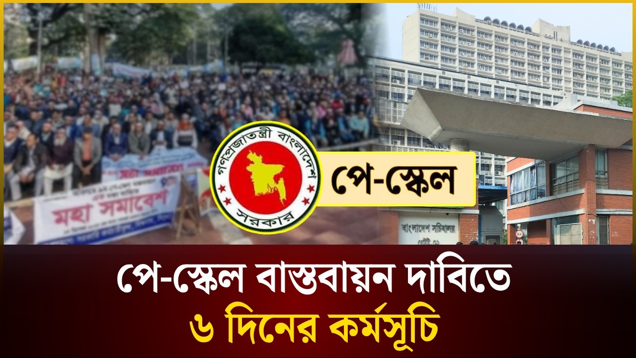 পে-স্কেল বাস্তবায়ন দাবিতে ৬ দিনের কর্মসূচি