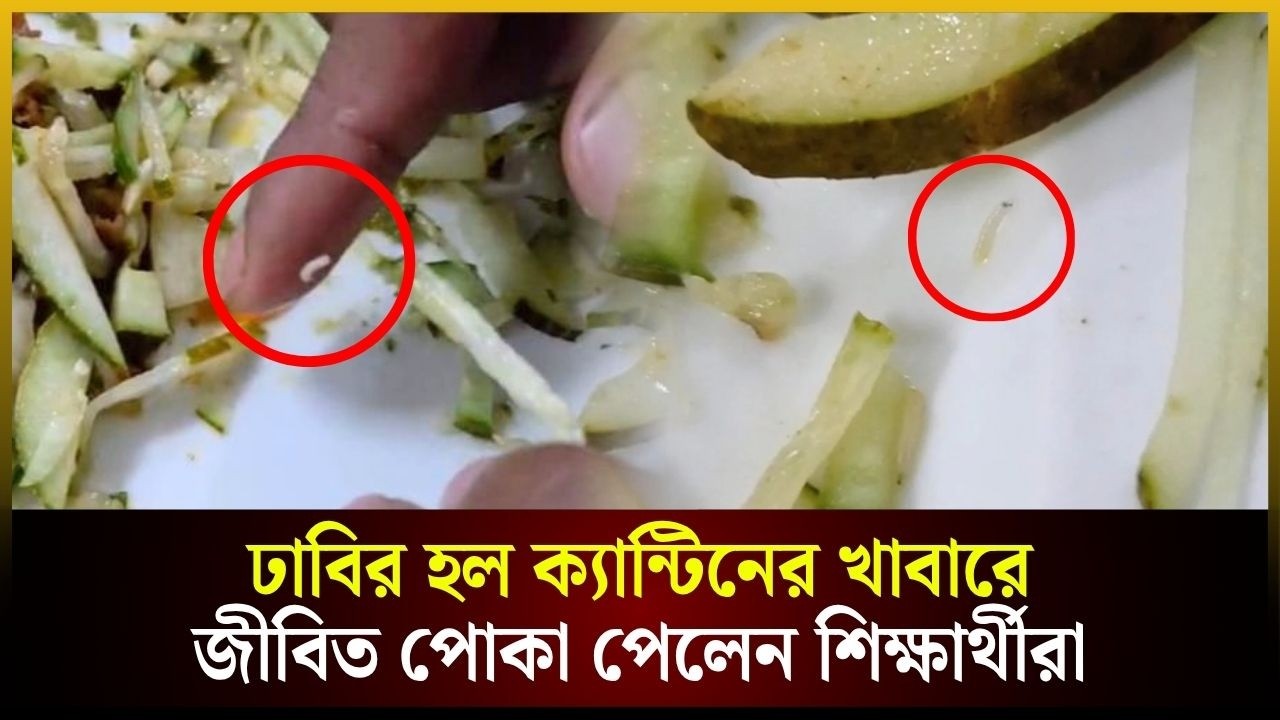 ঢাবির হল ক্যান্টিনের খাবারে জীবিত পো*কা পেলেন শিক্ষার্থীরা 