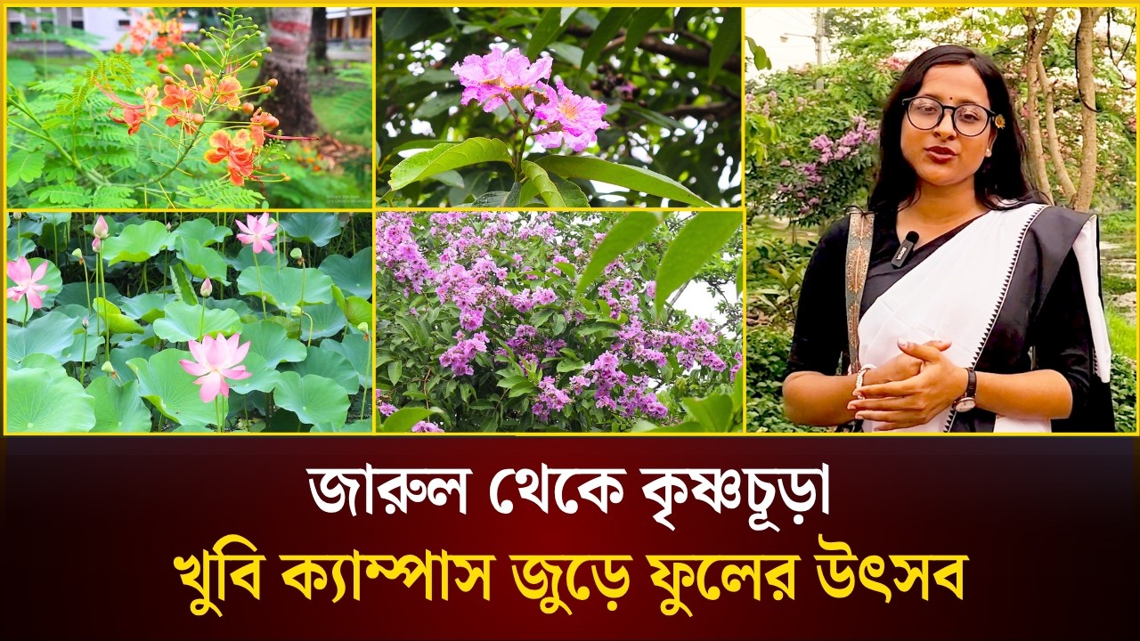 জারুল থেকে কৃষ্ণচূড়া: খুবি ক্যাম্পাস জুড়ে ফুলের উৎসব