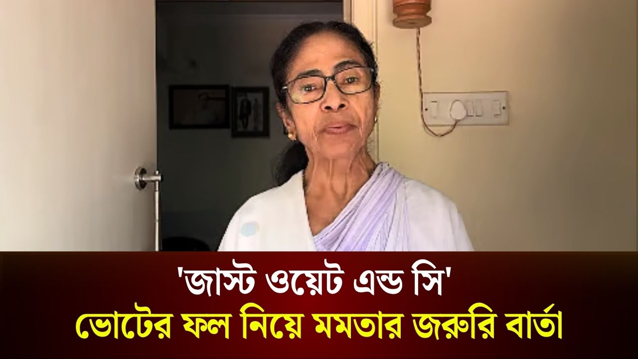'জাস্ট ওয়েট এন্ড সি'—ভোটের ফল নিয়ে মমতার জরুরি বার্তা