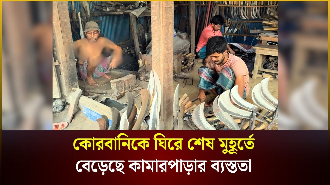 কোরবানিকে ঘিরে শেষ মুহূর্তে বেড়েছে কামারপাড়ার ব্যস্ততা