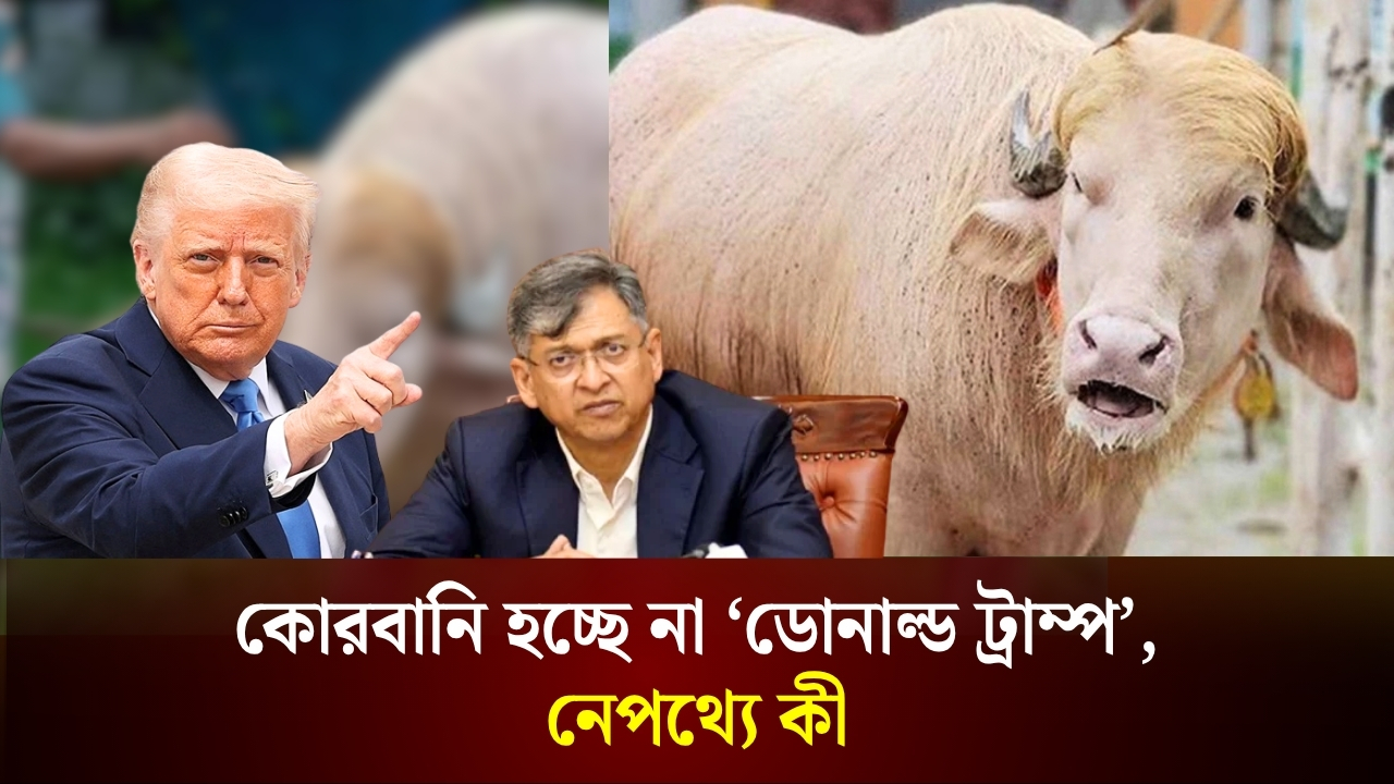 স্বরাষ্ট্রমন্ত্রীর হস্তক্ষেপ, কোরবানি হচ্ছে না ‘ডোনাল্ড ট্রাম্প’