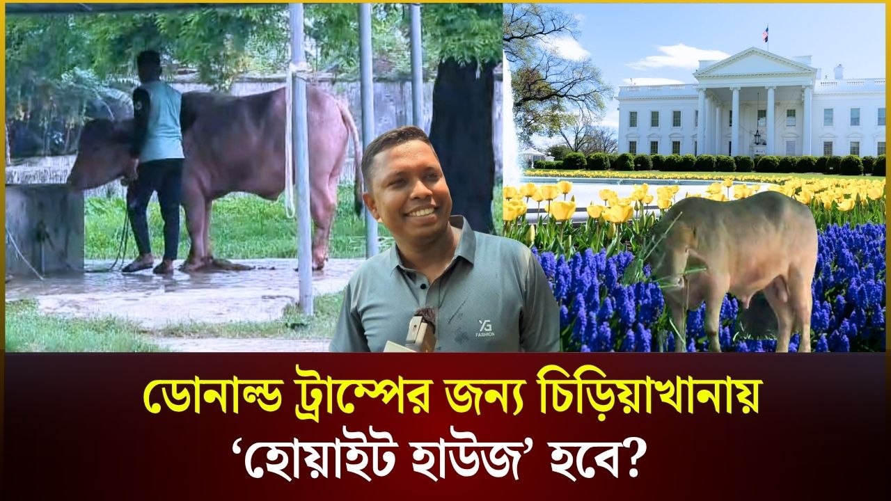 ডোনাল্ড ট্রাম্পের থাকার জন্য চিড়িয়াখানায় ‘হোয়াইট হাউজ’ করা হবে?  