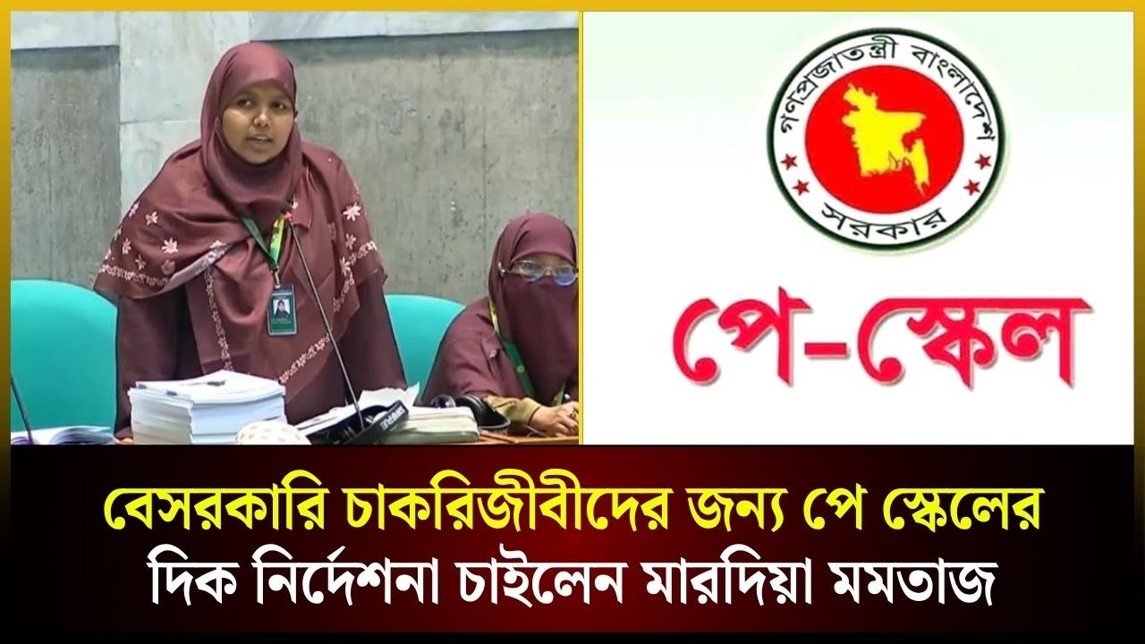বেসরকারি চাকরিজীবীদের জন্য পে স্কেলের দিক নির্দেশনা চাইলেন মারদিয়া মমতাজ