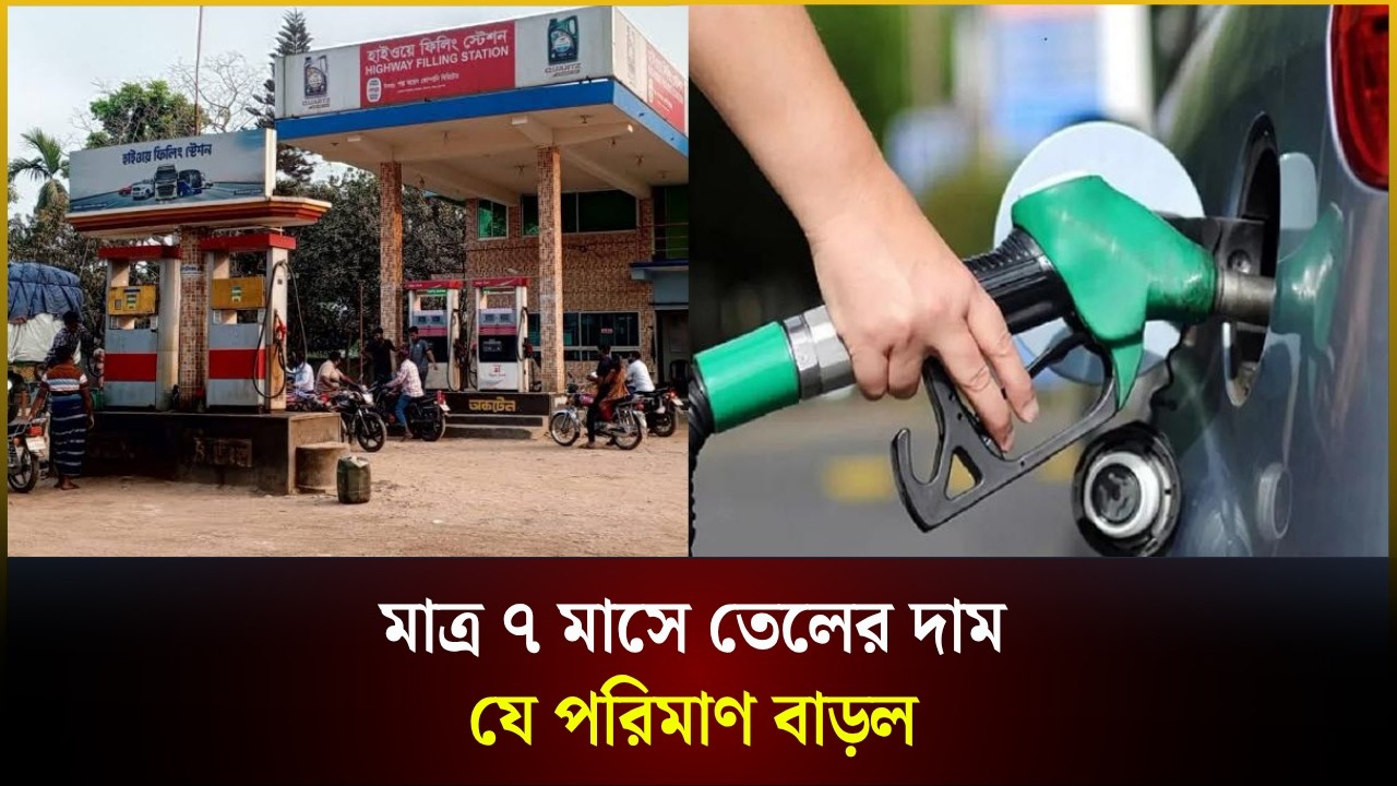  মাত্র ৭ মাসে তেলের দাম যে পরিমাণ বাড়ল