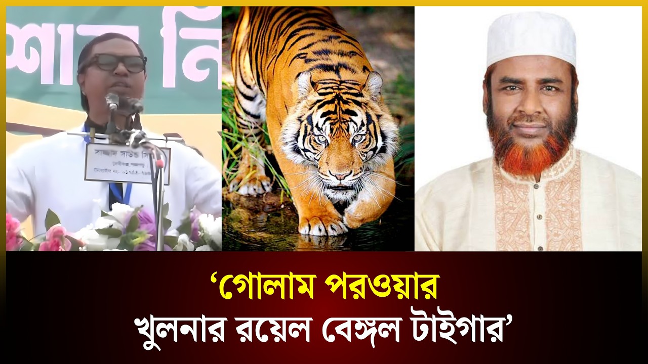  গোলাম পরওয়ার খুলনার রয়েল বেঙ্গল টাইগার: রাশেদ প্রধান