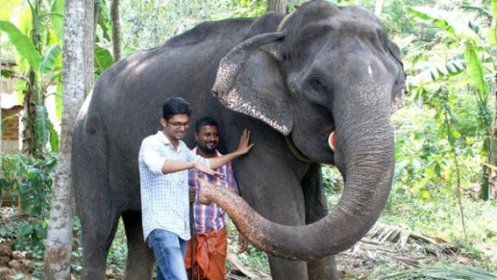 বিশ্বের সবচেয়ে বয়স্ক হাতির মৃত্যু