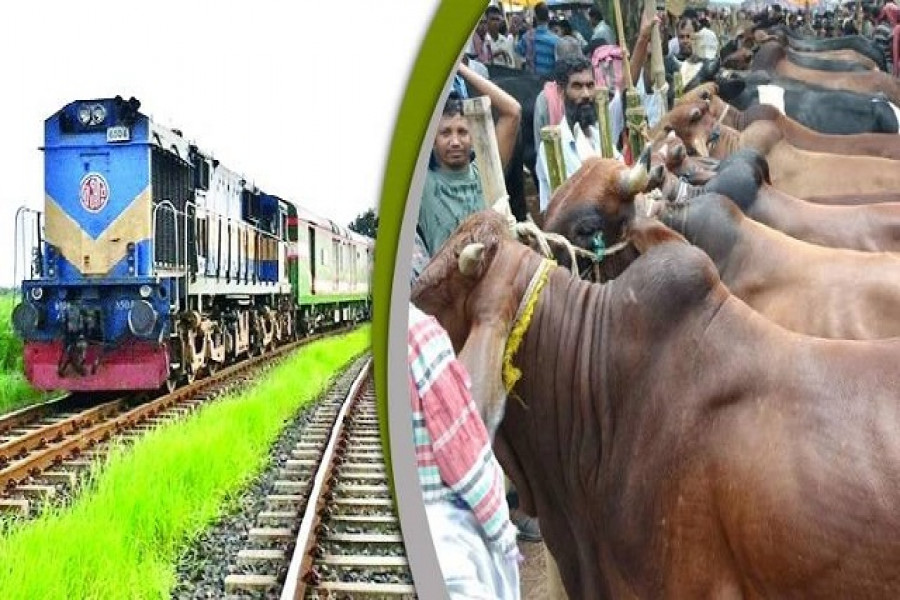 ট্রেনে চড়বে কোরবানির পশু
