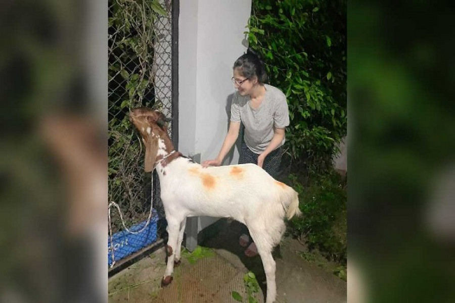 গৃহকর্মীকে কোরবানির পশু কিনে দিয়ে প্রশংসায় ভাসছেন মিম