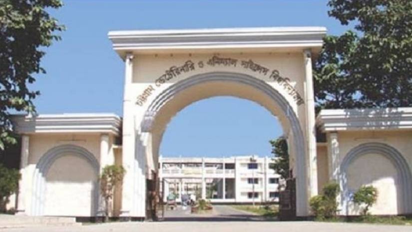 চট্টগ্রাম ভেটেরিনারি ও এনিম্যাল সায়েন্সেস বিশ্ববিদ্যালয়ে চাকরির সুযোগ