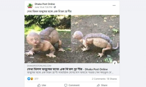 মানুষের মতো বিরল প্রাণি নয়, এগুলো সিলিকোন নির্মিত শিল্পকর্ম