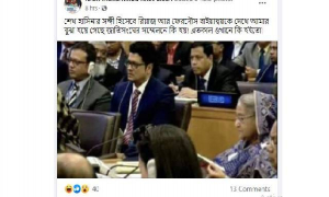 এবছর জাতিসংঘে যাননি রিয়াজ-ফেরদৌস, পুরোনো ছবি ভাইরাল