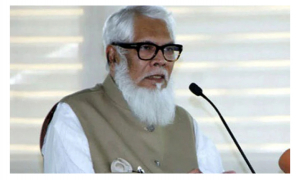 দেশে কোনো বেকারত্ব নেই: সালমান এফ রহমান