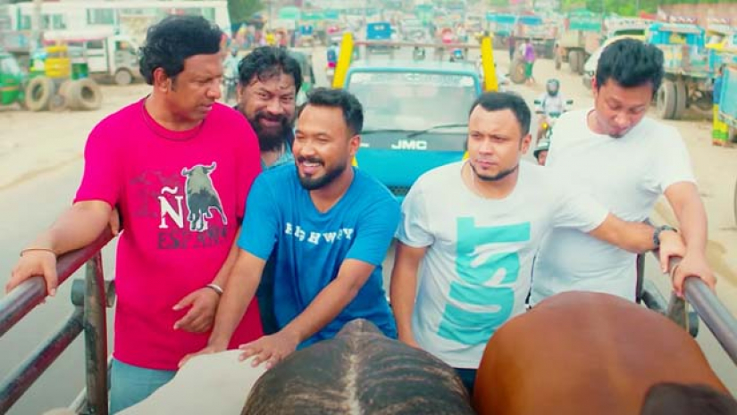 আজ রাতে কোরবানি দিবেন পাশা-কাবিলা-হাবুরা