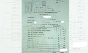 ঢাকা বিশ্ববিদ্যালয়ের এক মার্কশিটে এত ভুল!