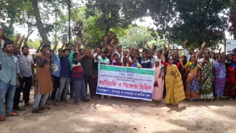 কাজে ফিরছেন না ২৩ চা বাগানের শ্রমিকরা