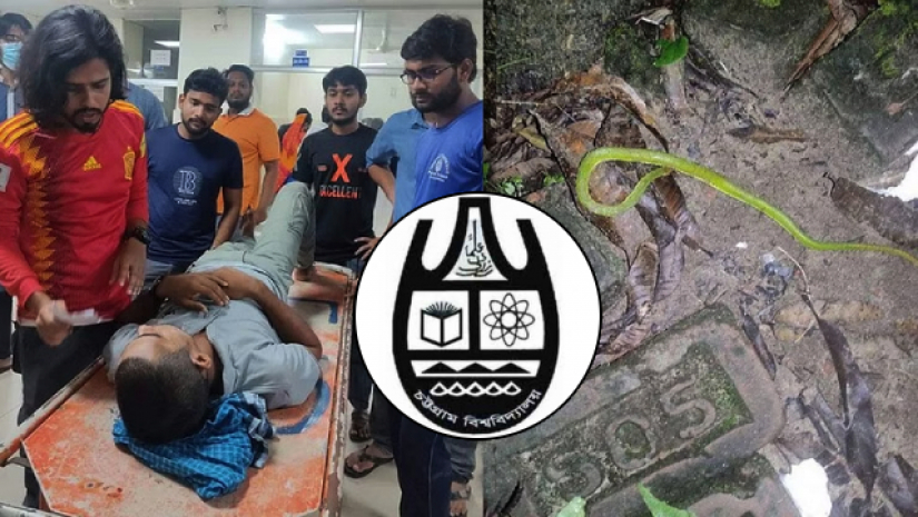 সাপের ছোবলে আহত চবির মারজানকে হাসপাতালে ভর্তি