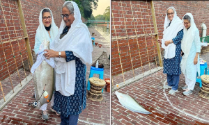 প্রধানমন্ত্রীর বড়শিতে ধরা পড়ল বড় চিতল