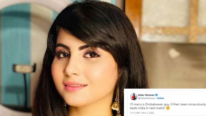 ভারতকে হারালেই জিম্বাবুয়ের যুবককে বিয়ে করব— ঘোষণা পাক অভিনেত্রীর