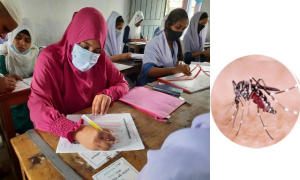 ডেঙ্গু আক্রান্তদের এইচএসসি পরীক্ষা বিশেষ ব্যবস্থায়
