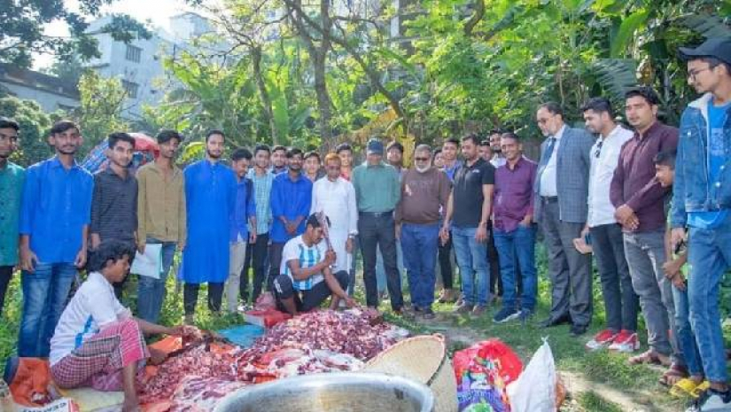 আর্জেন্টিনা সমর্থকদের উৎসাহ দিতে ফেনীতে গরু জবাই
