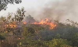 আগুনে পুড়ল শাবিপ্রবির টিলা