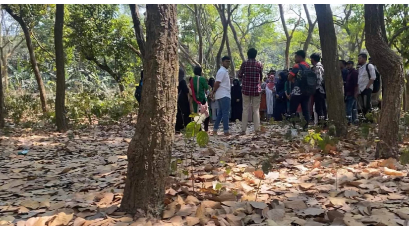 নির্জন জায়গায় ডেকে নিয়ে জাবির নবীন শিক্ষার্থীদের র‌্যাগিং