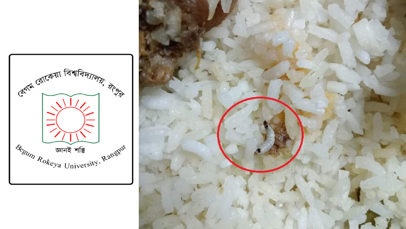 বেরোবিতে স্বাধীনতা দিবসের খাবারে পোকা, শিক্ষার্থীদের ক্ষোভ
