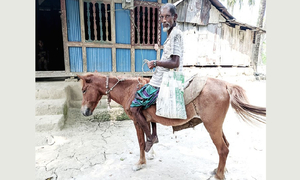 ঘোড়ায় চড়ে ‘ভিক্ষা’ করেন জালু মিয়া
