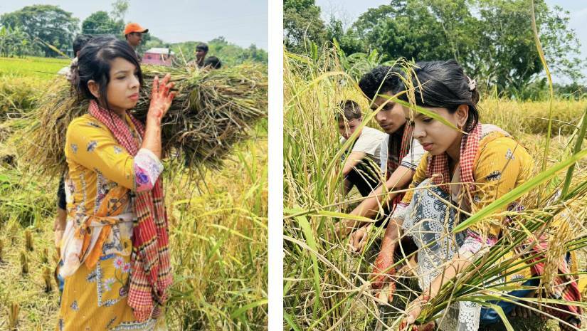 কেন্দ্রের আহ্বানের পরেই ধানক্ষেতে নেমে পড়লেন ছাত্রলীগের প্রভাতী