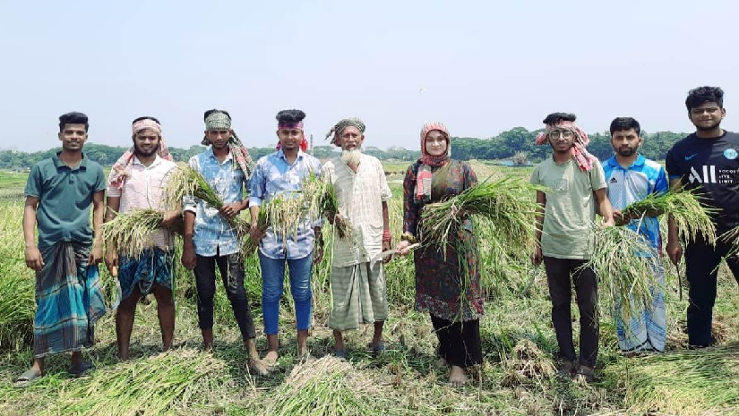 চাঁদপুরে ধান কেটে কৃষকের ঘরে পৌঁছাল ছাত্রলীগ