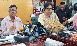 এবছর ২ কোটি ২০ লাখ টন চাল উৎপাদন হতে পারে: কৃষিমন্ত্রী