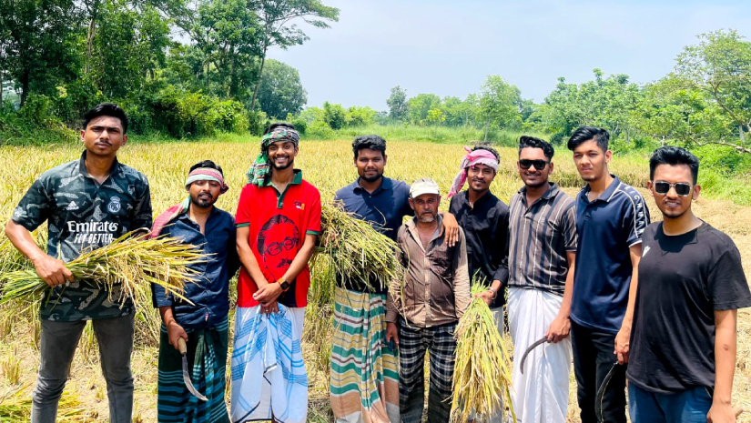 বরিশালে কৃষকের ধান কেটে প্রশংসায় ভাসছে ছাত্রলীগ