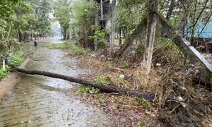 মিয়ানমারের স্থলভাগে মোখা, নিহত ৩