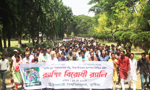 র‌্যাগিং বিশ্ববিদ্যালয় পরিবারের প্রতি কালিমা লেপন: ইবি ভিসি