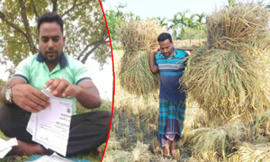 লাইভে সার্টিফিকেট ছেঁড়া সেই বাদশা এখন কৃষক