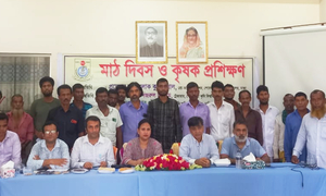 কৃষকদের মৌ চাষের প্রশিক্ষণ দিলেন শেকৃবি শিক্ষকরা