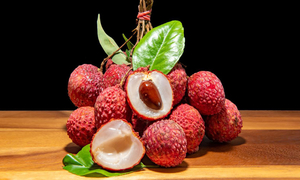 লিচুর বিচি গলায় আটকে প্রাণ গেলো শিশুর