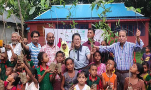 গাছের যত্ন না নিলে পরীক্ষায় ৫০ নম্বর কাটা