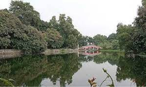 বোটানিক্যাল গার্ডেন থেকে কলেজছাত্রের মরদেহ উদ্ধার