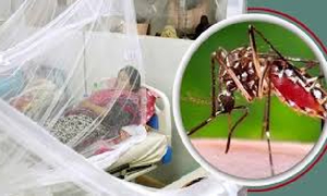 ডেঙ্গুতে মৃত্যু বেড়ে ৫০, হাসপাতালে ভর্তি ২৭০