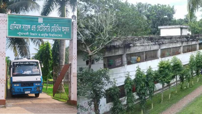 চরম অব্যবস্থাপনায় পবিপ্রবির আবাসিক হলে ভোগান্তিতে শিক্ষার্থীরা