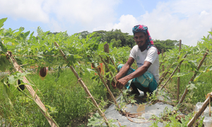 ২০ হাজারে শুরু, তরমুজ বিক্রি থেকে শাহীনের আয় এখন লাখ টাকা